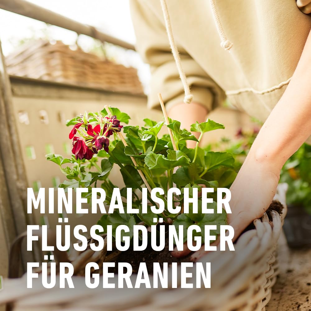 compo-geraniend-nger-spezial-fl-ssigd-nger-mit-eisen-1-3-l image 4