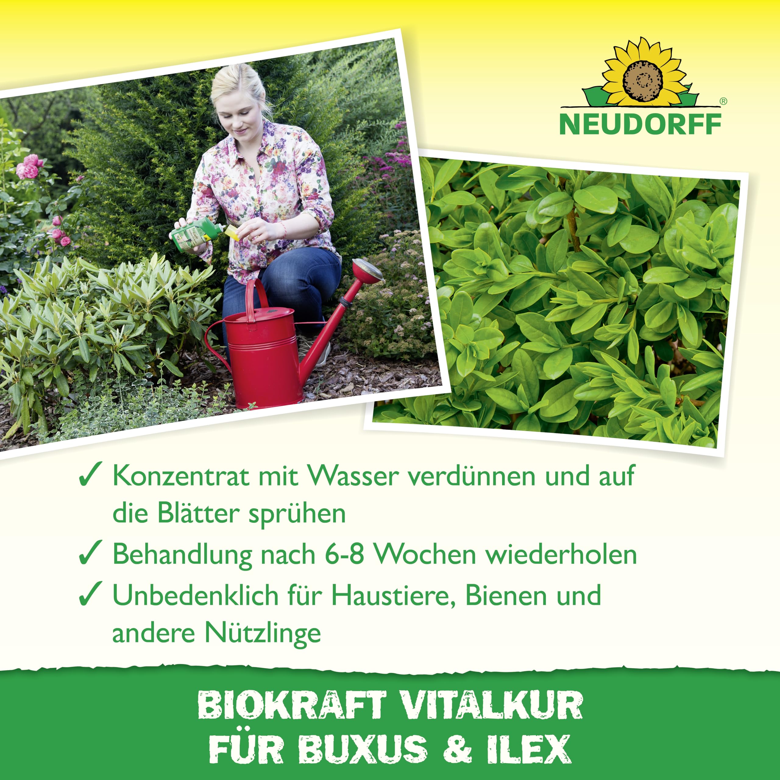 neudorff-biokraft-vitalkur-f-r-buxus-ilex-konzentrat-300-ml image 4