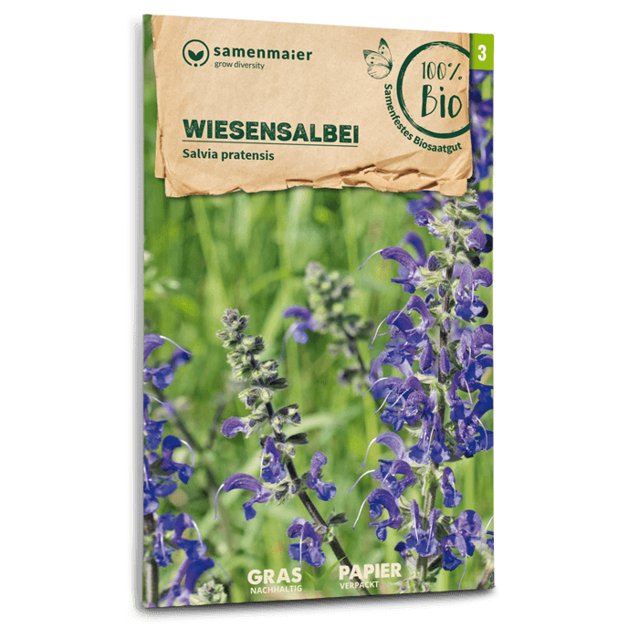 plantura-bio-wiesensalbei-wildblume-bio-saatgut image 1