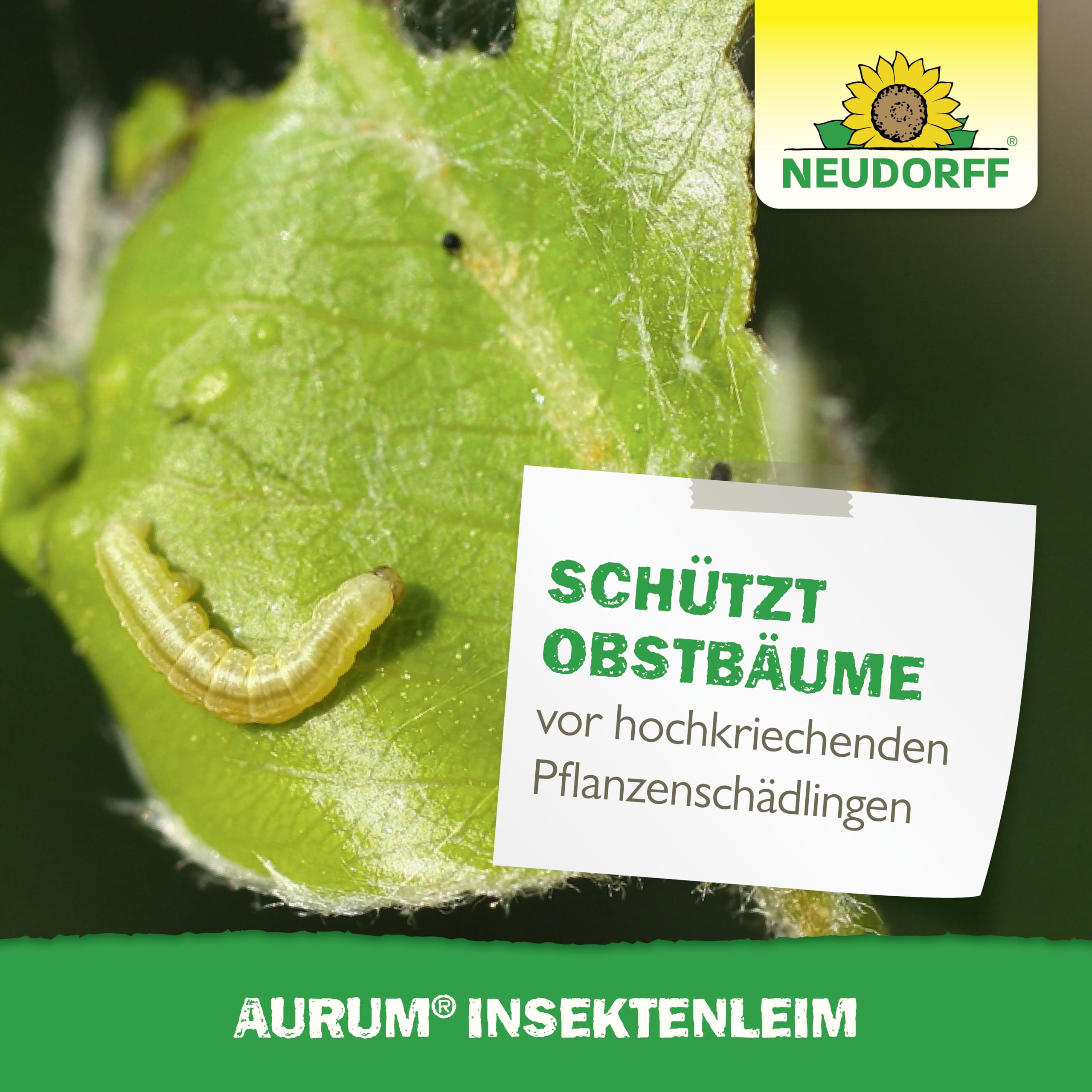 neudorff-aurum-insektenleim-125-g-leimring-f-r-ber-4-m image 6