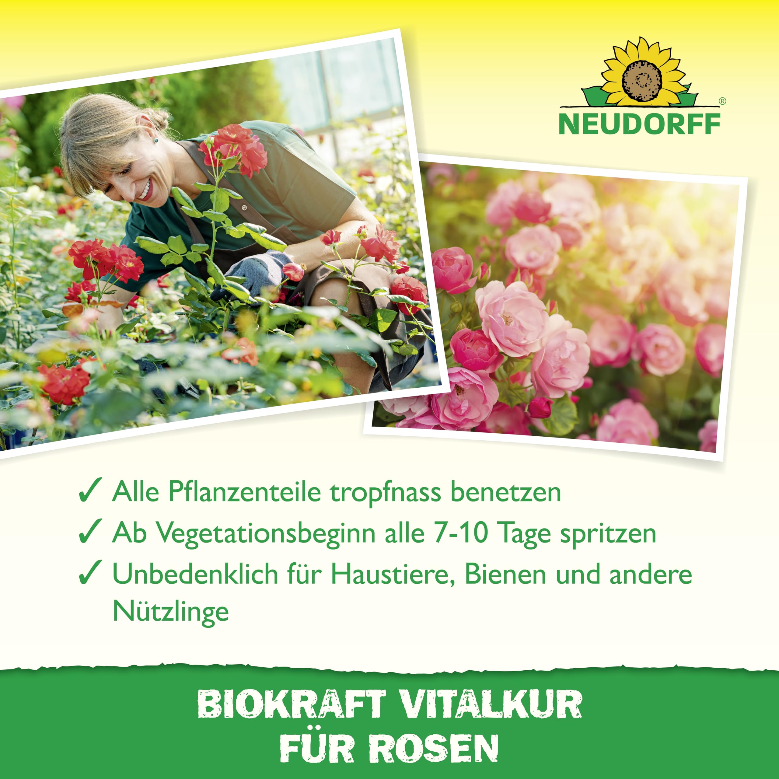 neudorff-biokraft-vitalkur-f-r-rosen-konzentrat-300-ml-pflanzenst-rkung-f-r-rose image 4