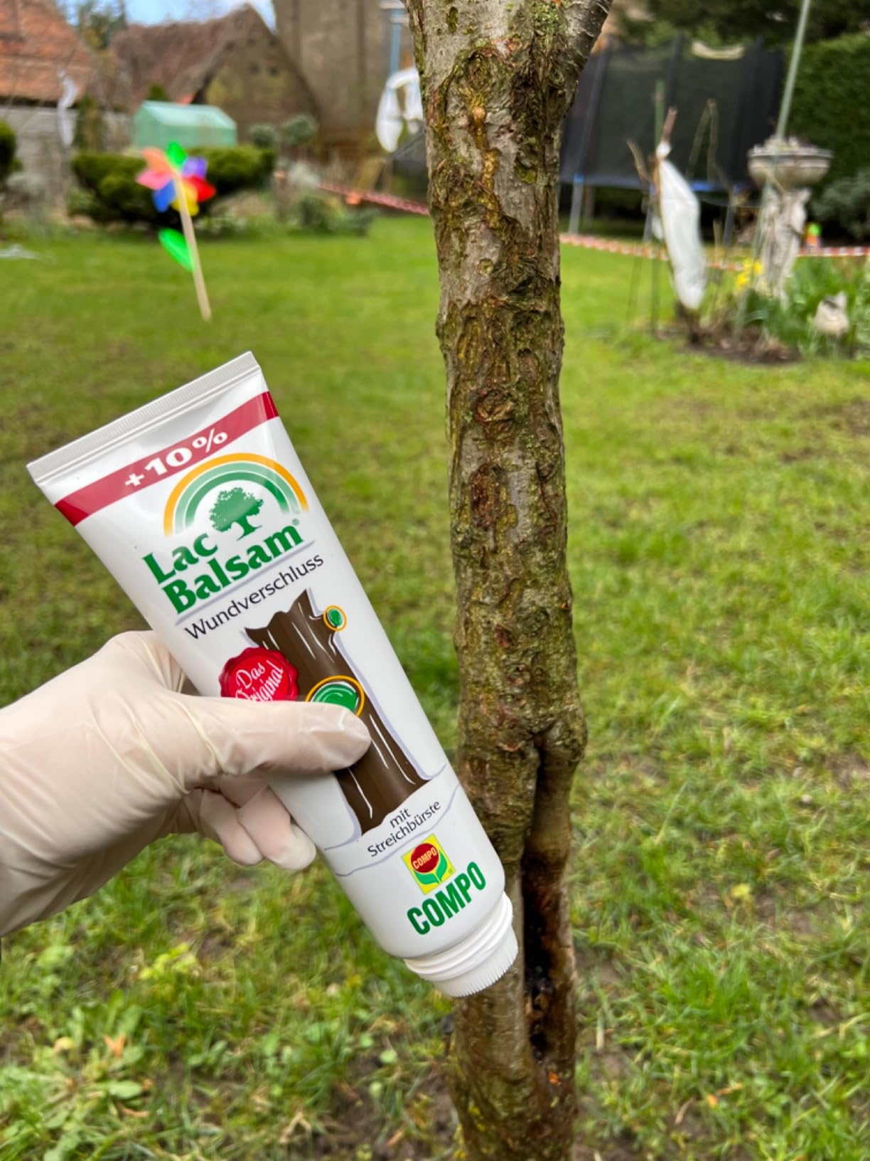 Gut für Rosen und Kirsche