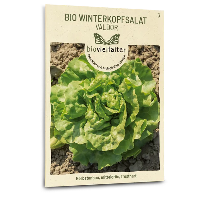 plantura-bio-winterkopfsalat-valdor-bio-saatgut image 1