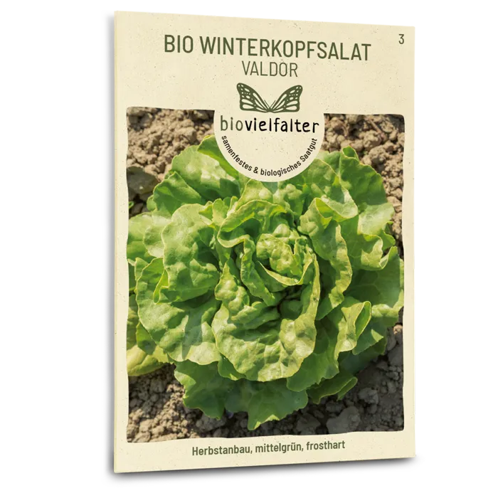 plantura-bio-winterkopfsalat-valdor-bio-saatgut image 1