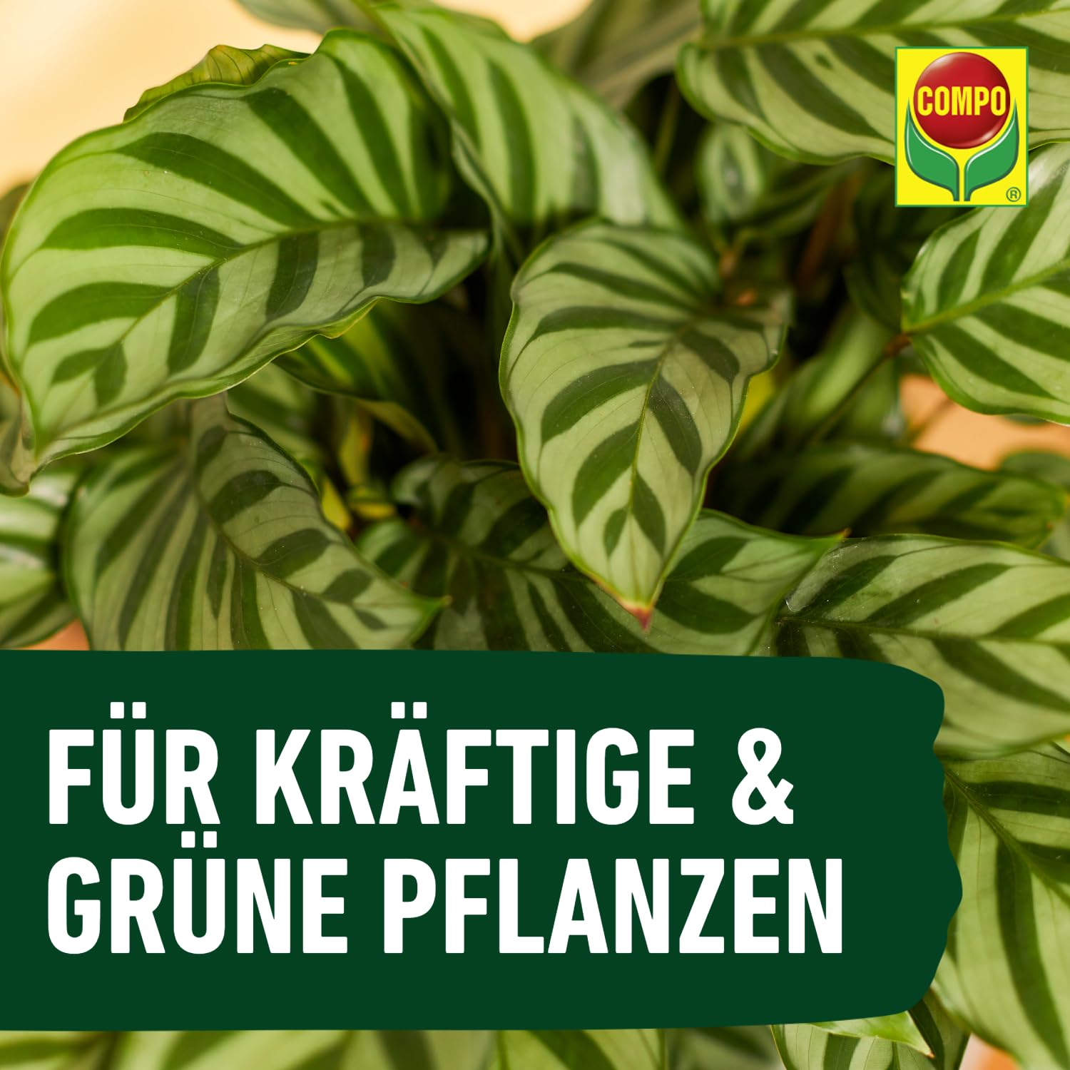compo-gr-npflanzend-nger-und-palmend-nger-fl-ssigd-nger-1-liter image 8