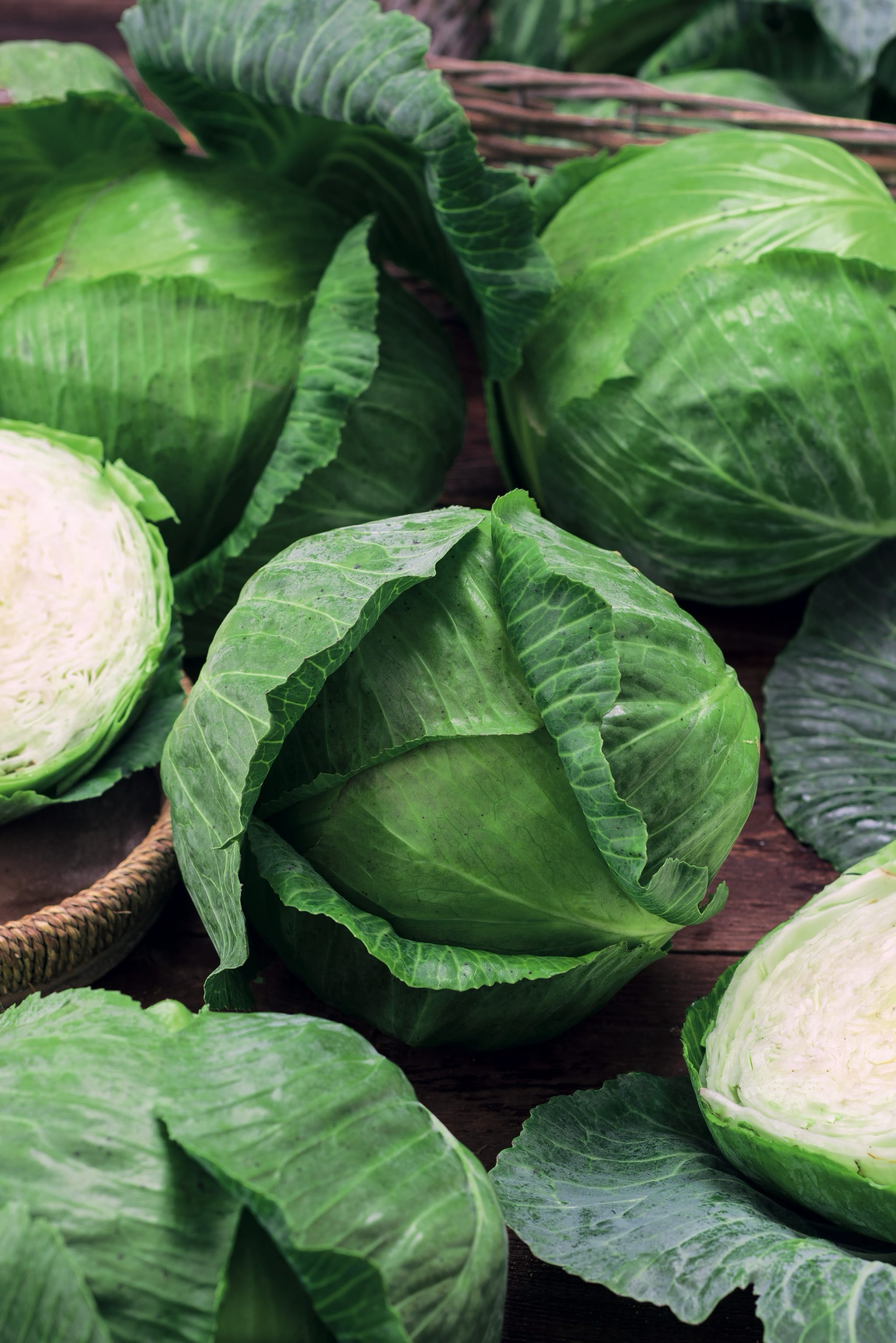 plantura-bio-wei-kohl-oststeirerkraut-bio-saatgut image 2