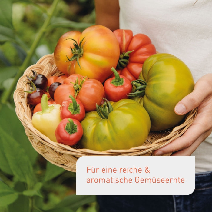 plantura-bio-tomatend-nger-1-5-kg-organischer-langzeitd-nger image 2