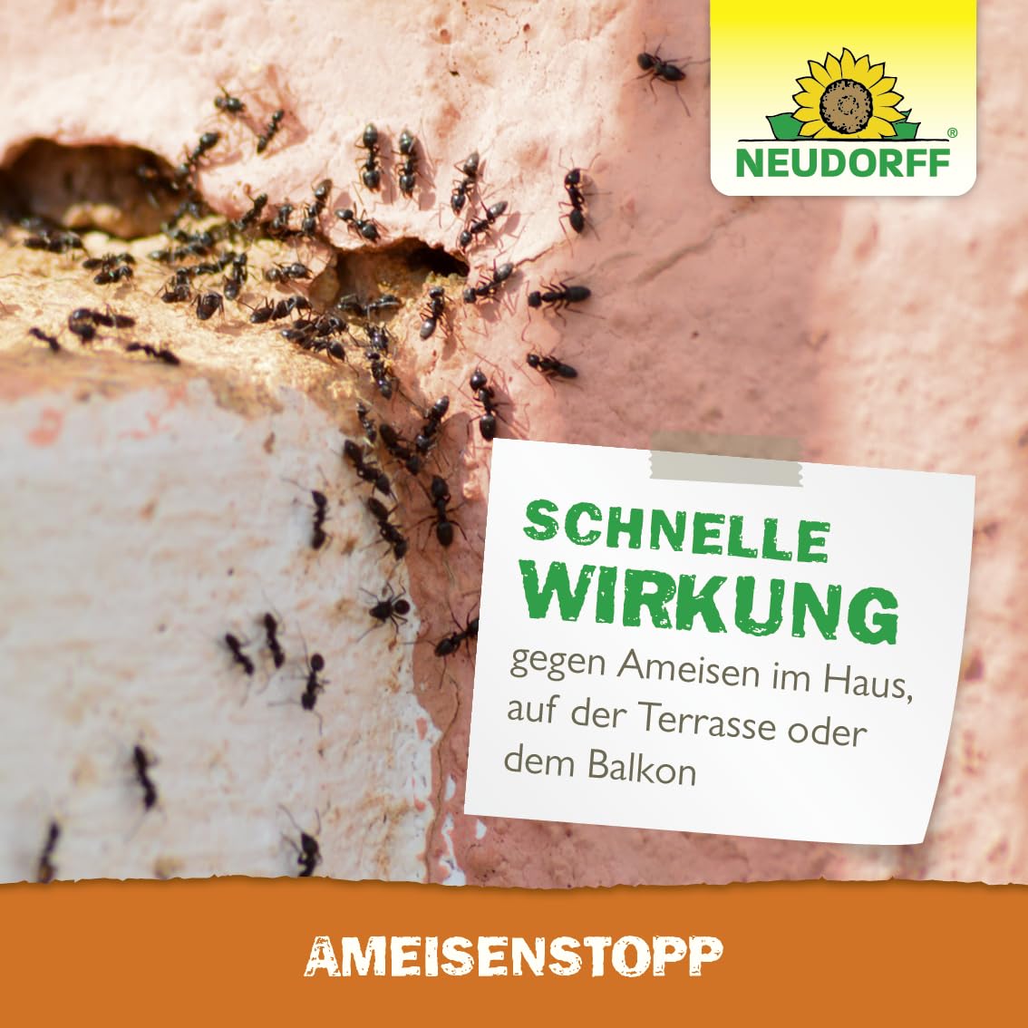 neudorff-ameisenstopp-ameisenstreumittel-200-g-insektizidfrei image 6