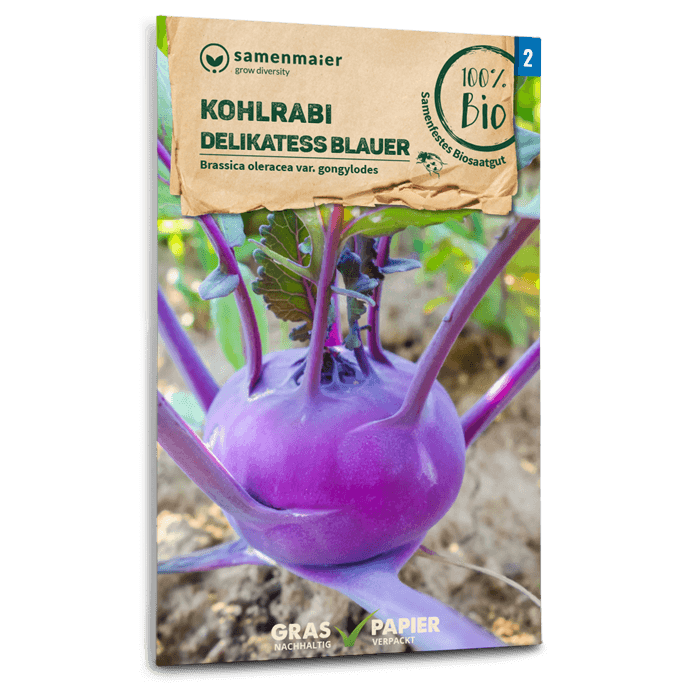 plantura-bio-kohlrabi-blauer-delikatess-fr-h-bio-saatgut image 1