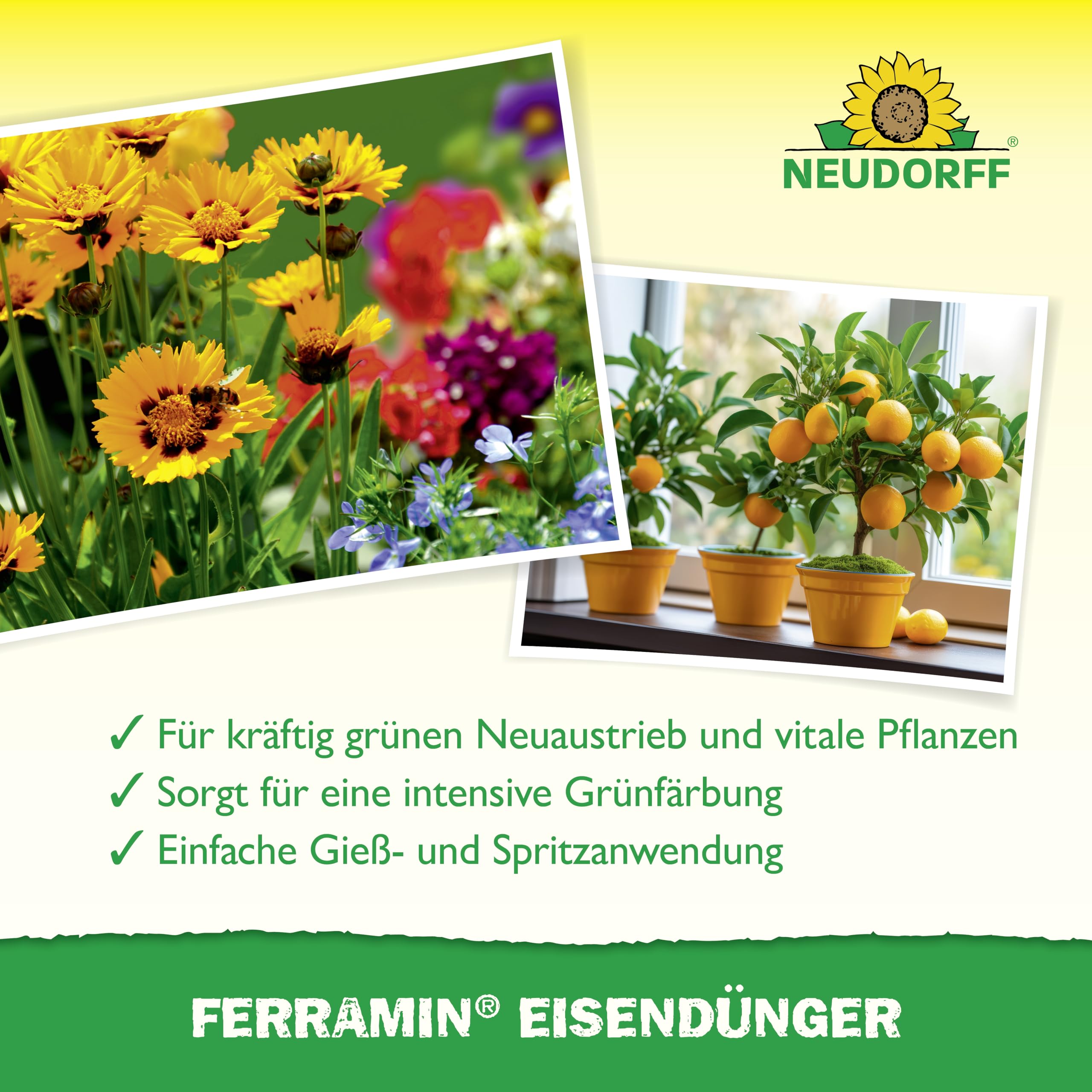 neudorff-ferramin-eisend-nger-konzentrat-250-ml image 4