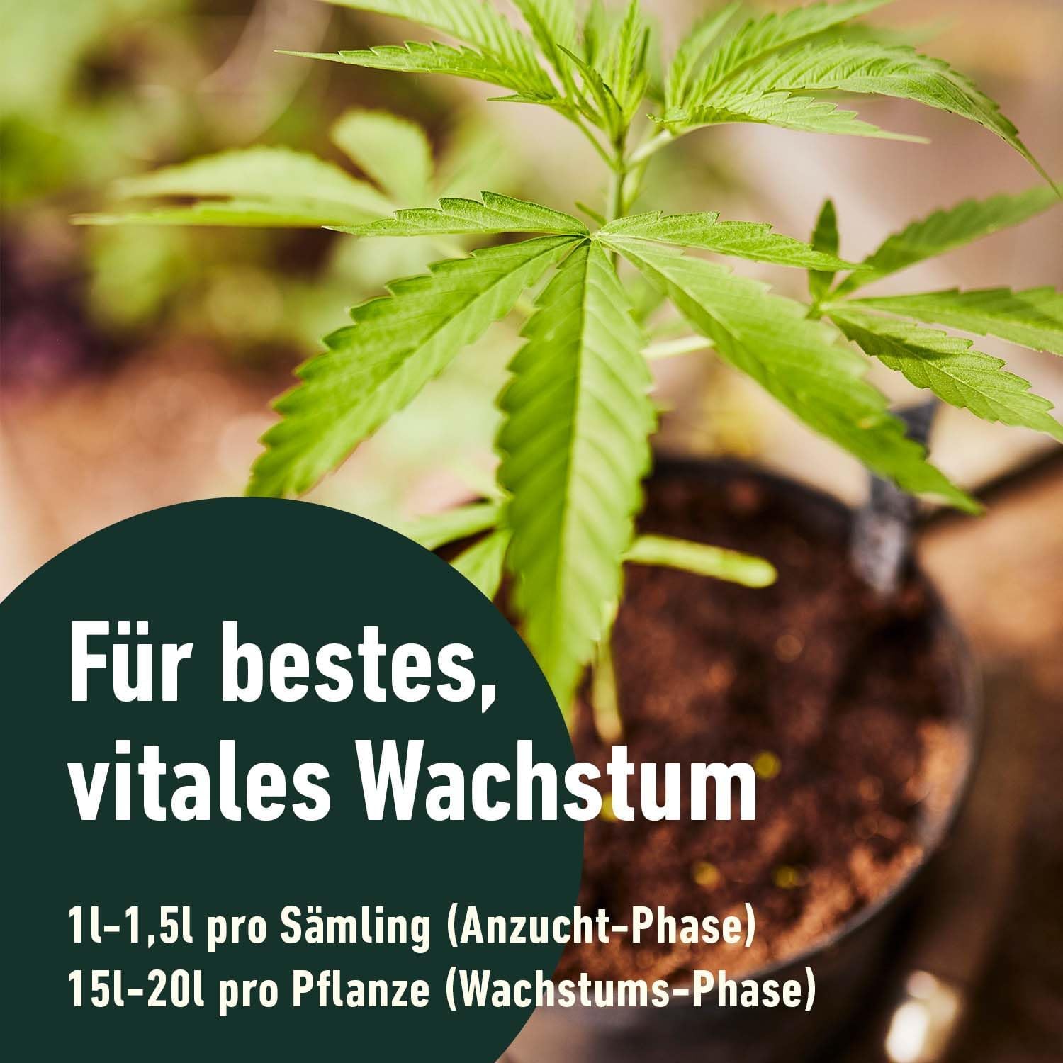 compo-grow-organic-light-mix-erde-50-l-aussaat-und-anzuchterde image 5