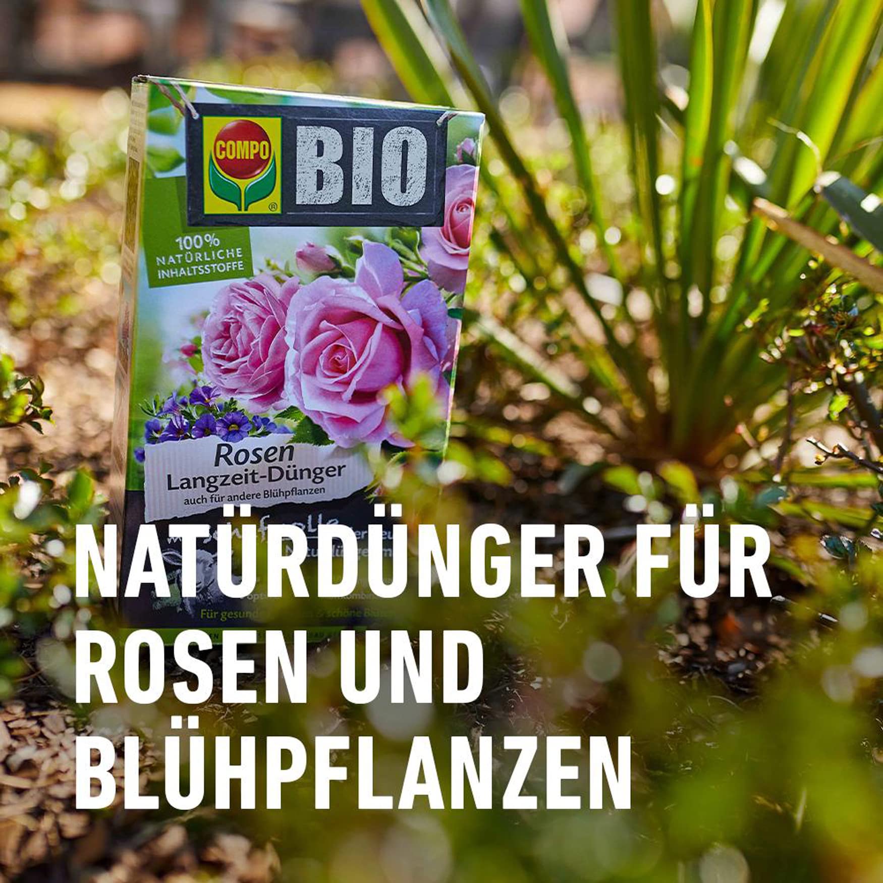 compo-bio-rosen-langzeit-d-nger-mit-schafwolle-750-g-5-monate-wirkung image 2