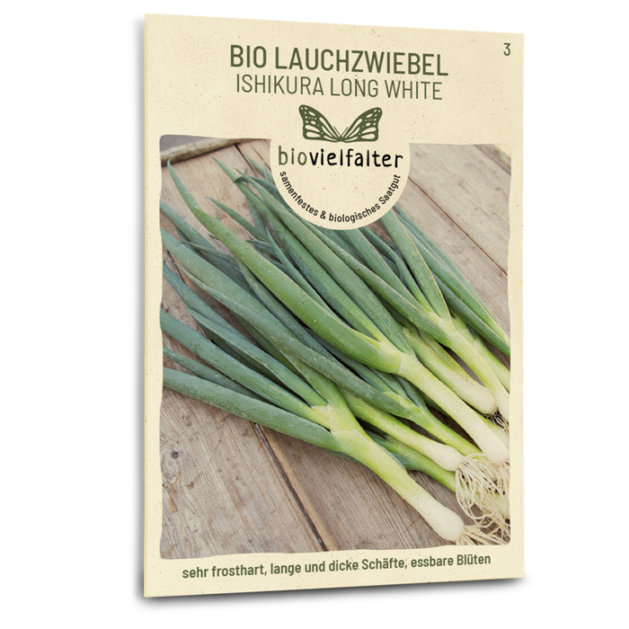plantura-bio-lauchzwiebel-ishikura-long-white-bio-gem-sesaatgut image 1