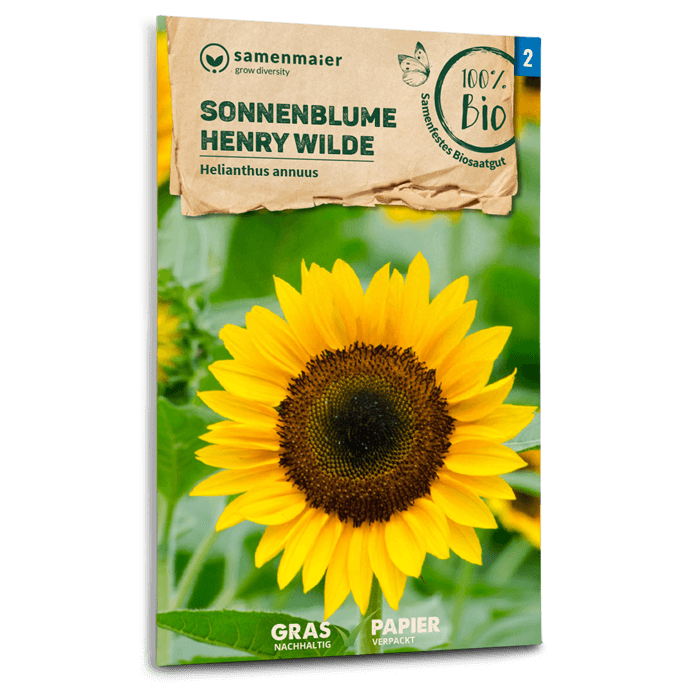 plantura-bio-sonnenblume-henry-wilde-bio-saatgut image 1