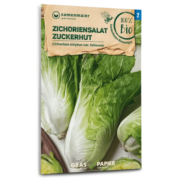 plantura-bio-zichoriensalat-zuckerhut-bio-saatgut image 1