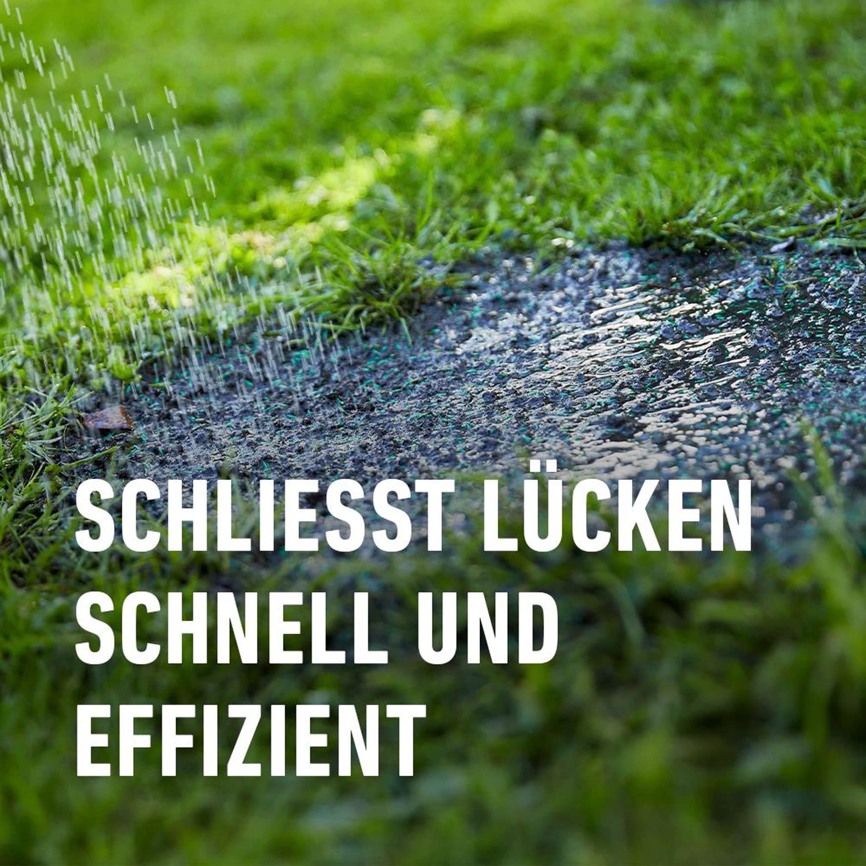 compo-saat-rasen-reparatur-mit-d-nger-1-2-kg-f-r-50-m image 4