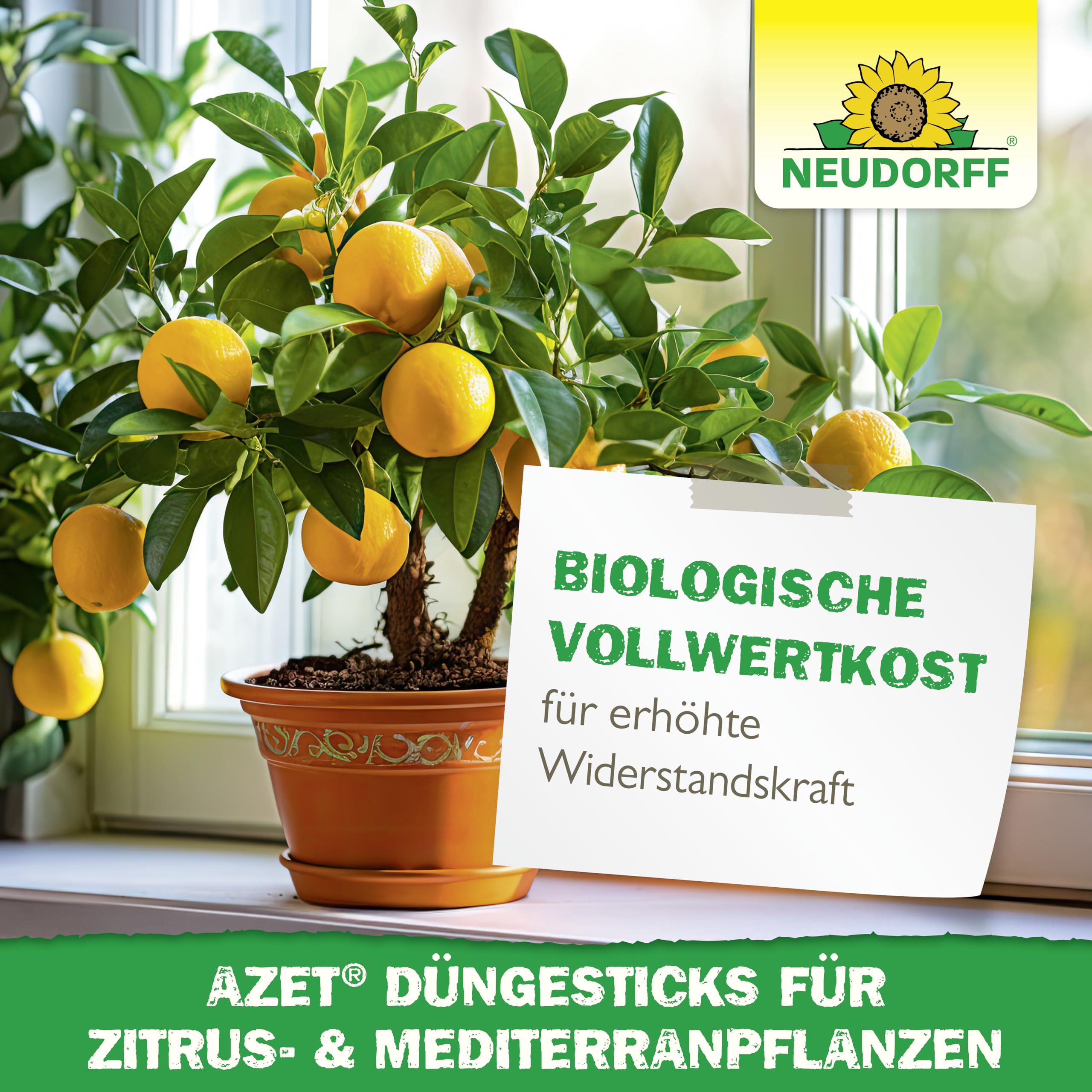 neudorff-azet-d-ngesticks-zitrus-und-mediterranpflanzen-40-st-ck image 6