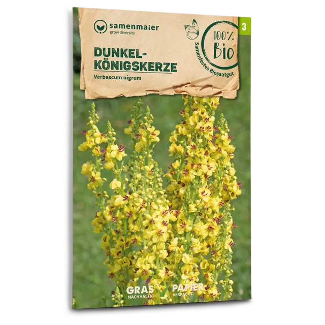 plantura-bio-dunkle-k-nigskerze-wildblume-bio-saatgut image 1