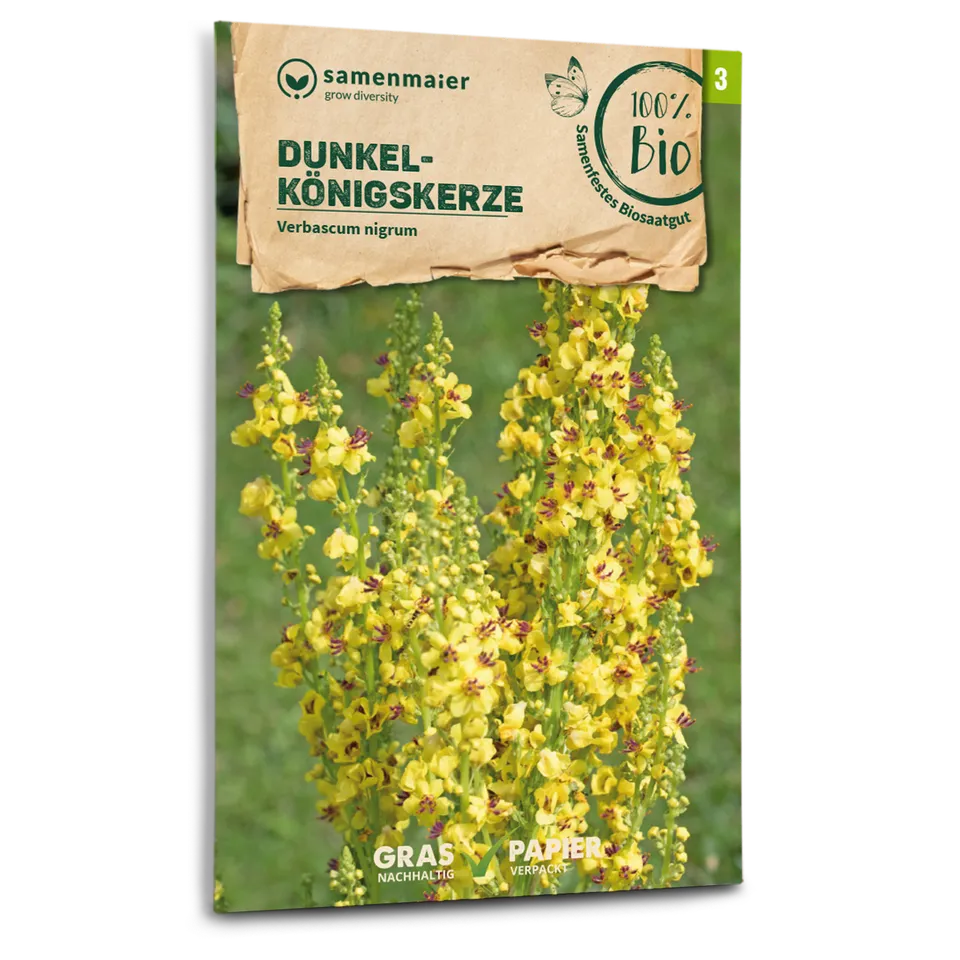 plantura-bio-dunkle-k-nigskerze-wildblume-bio-saatgut image 1