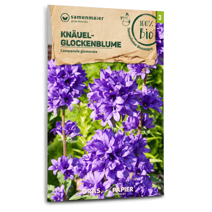 plantura-bio-kn-uel-glockenblume-wildblume-bio-saatgut image 1