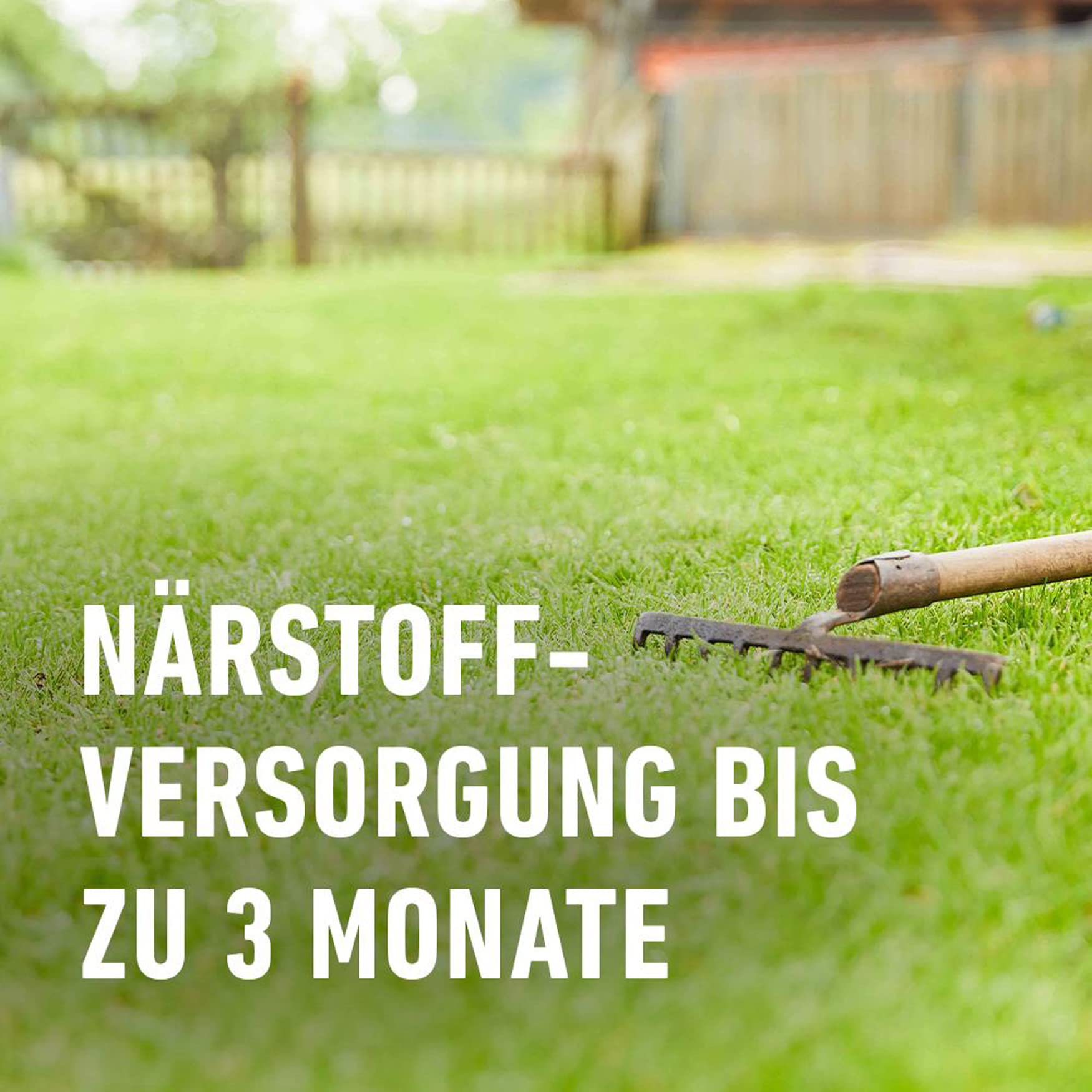 compo-saat-rasen-reparatur-mit-d-nger-1-2-kg-f-r-50-m image 6