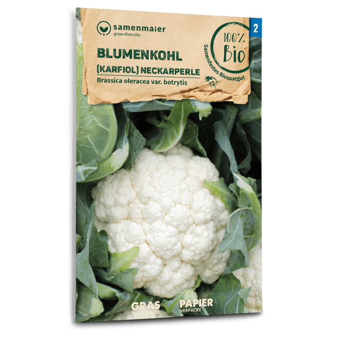 plantura-bio-blumenkohl-neckarperle-bio-saatgut image 1