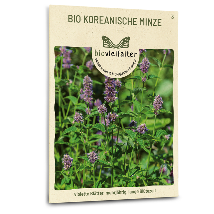 plantura-bio-koreanische-minze-agastache-rugosa-samen image 1