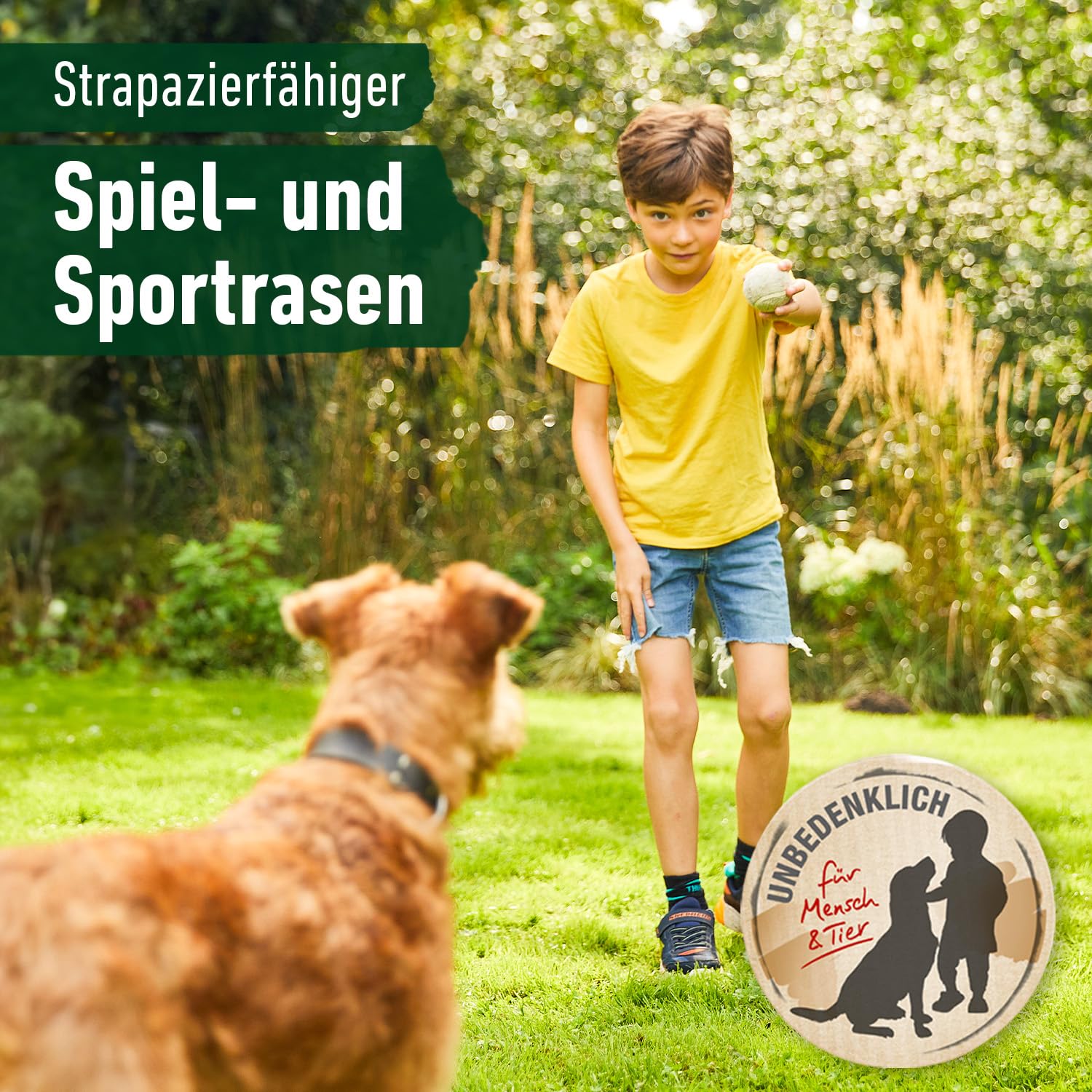 compo-universal-rasensamen-schnellkeimend-5-kg-f-r-250-m-spiel-und-sportrasen image 8
