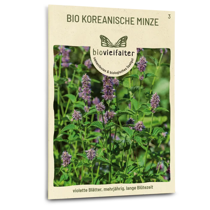 plantura-bio-koreanische-minze-agastache-rugosa-samen image 1