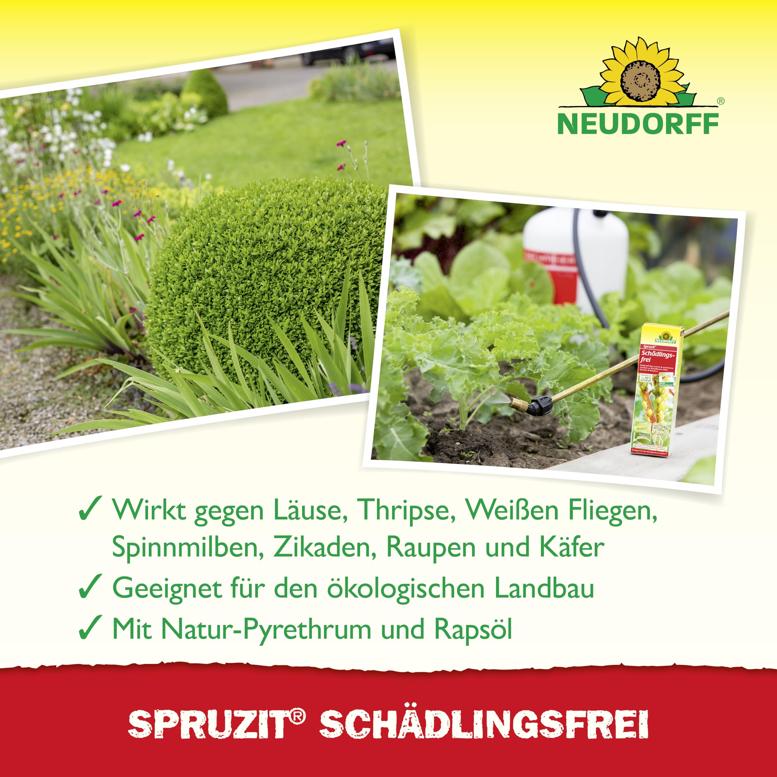neudorff-spruzit-sch-dlingsfrei-konzentrat-50-ml-gegen-buchsbaumz-nsler-blattl-u image 4