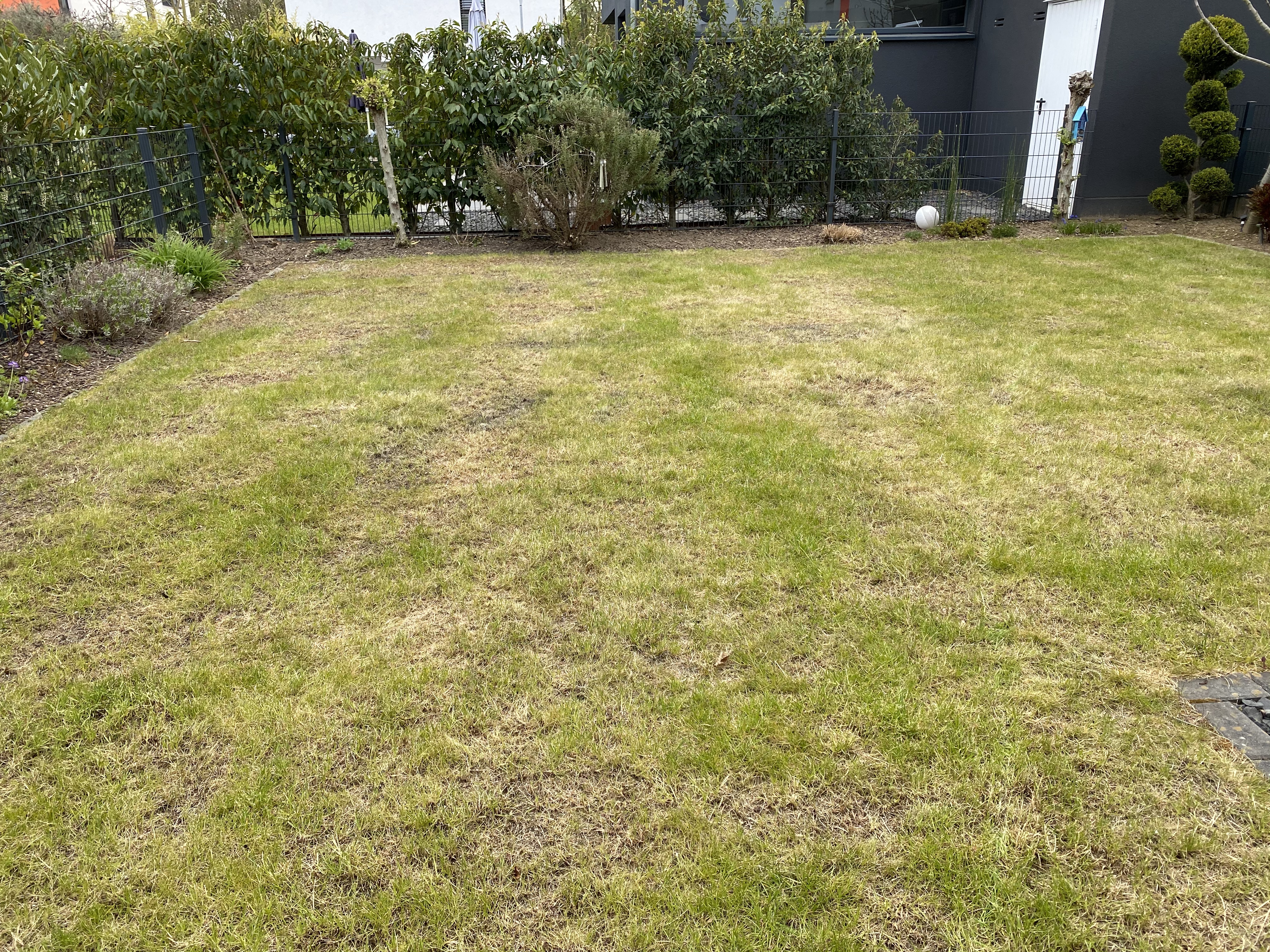 400 m² wie ein Fußballplatz