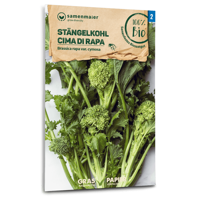 plantura-bio-st-ngekohl-cima-di-rapa-saatgut image 1