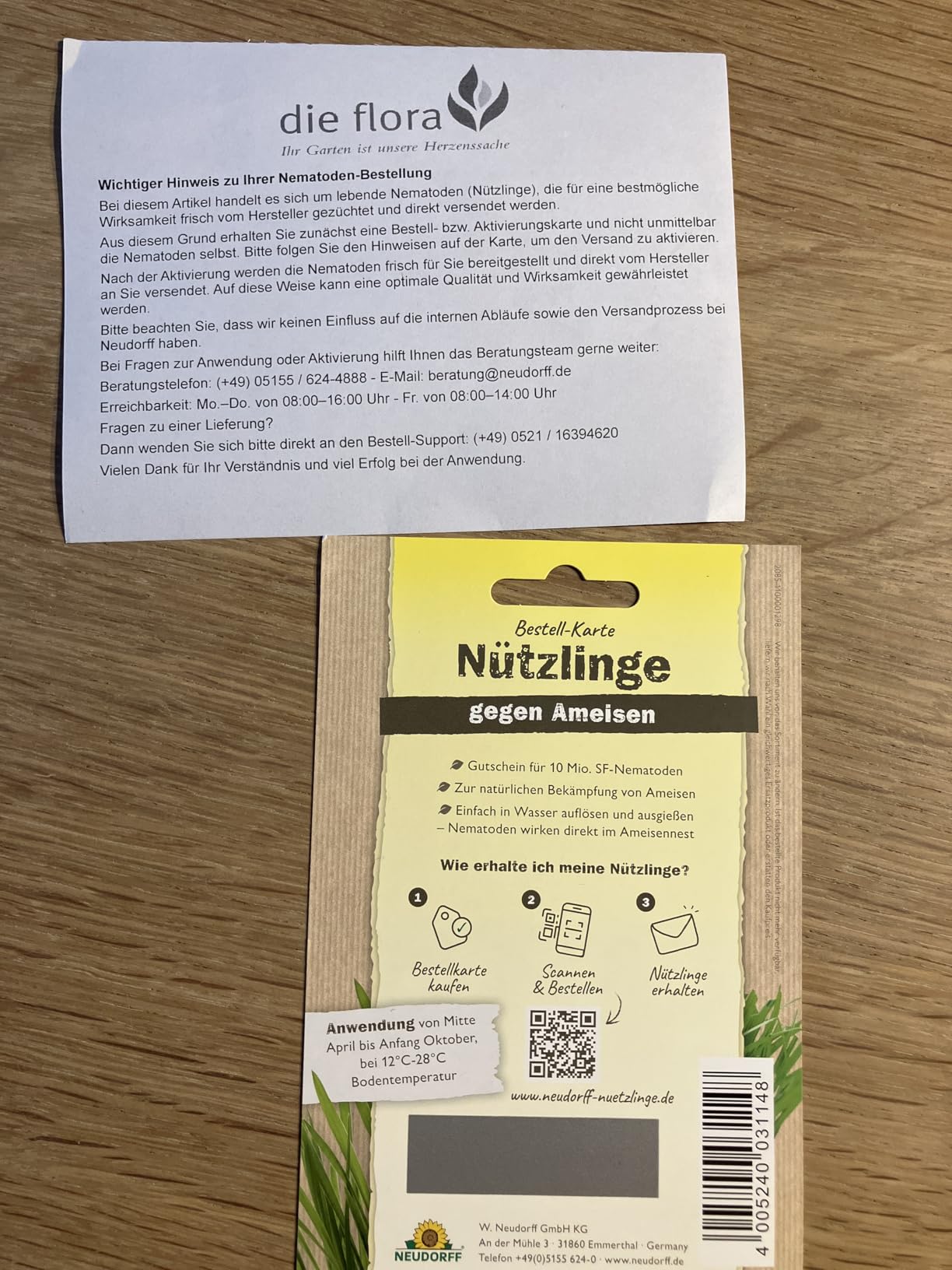 Ameisen endlich weg ohne Gift