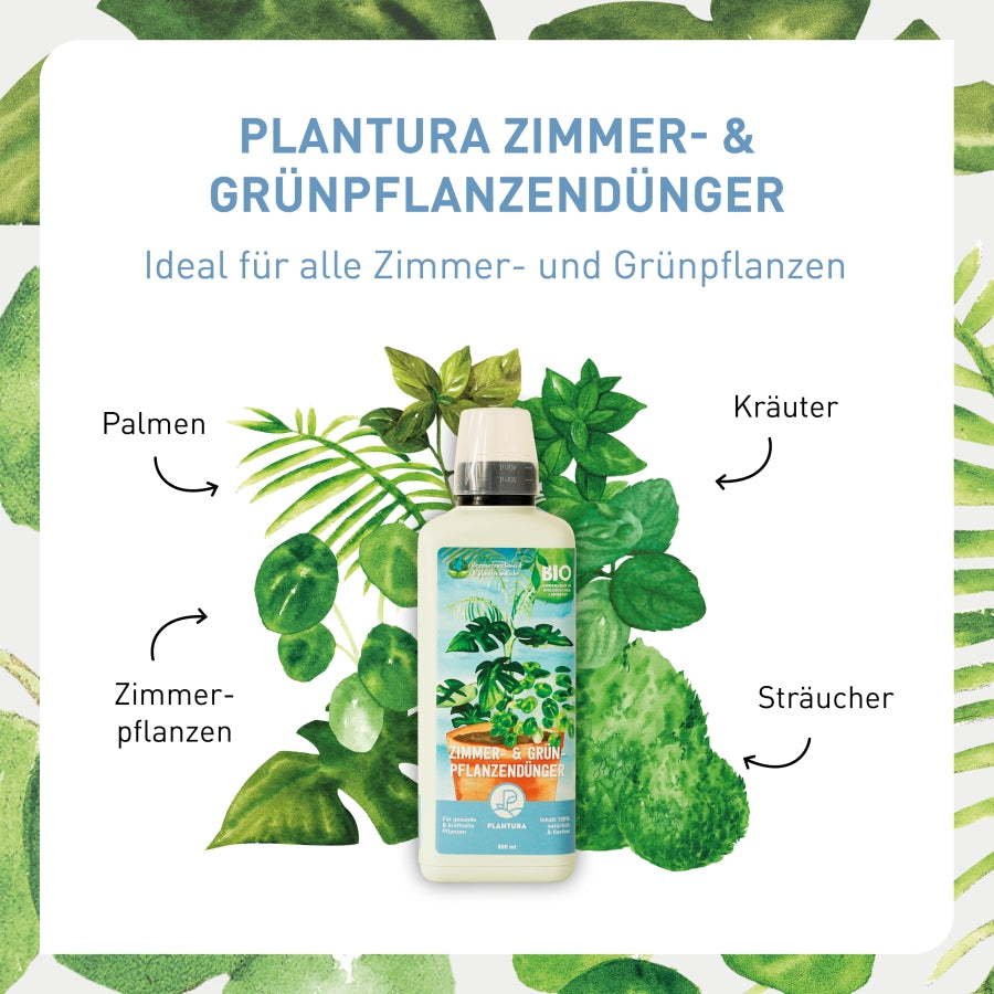 plantura-bio-zimmer-gr-npflanzend-nger-800-ml-bio-fl-ssigd-nger image 3