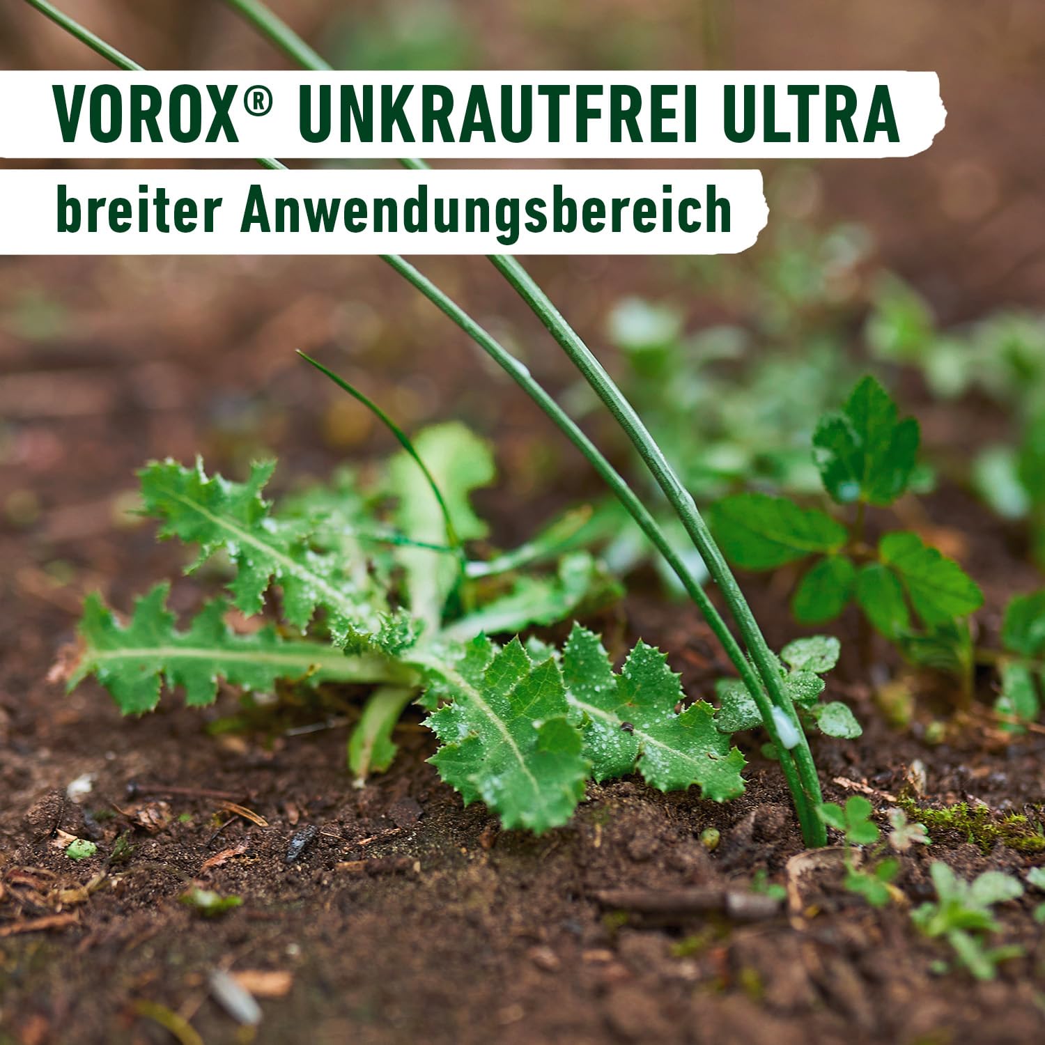 compo-vorox-unkrautfrei-ultra-konzentrat-250-ml image 6