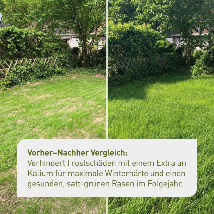 plantura-bio-herbstrasend-nger-3-kg-box-organischer-granulatd-nger-npk-5-1-9 image 3