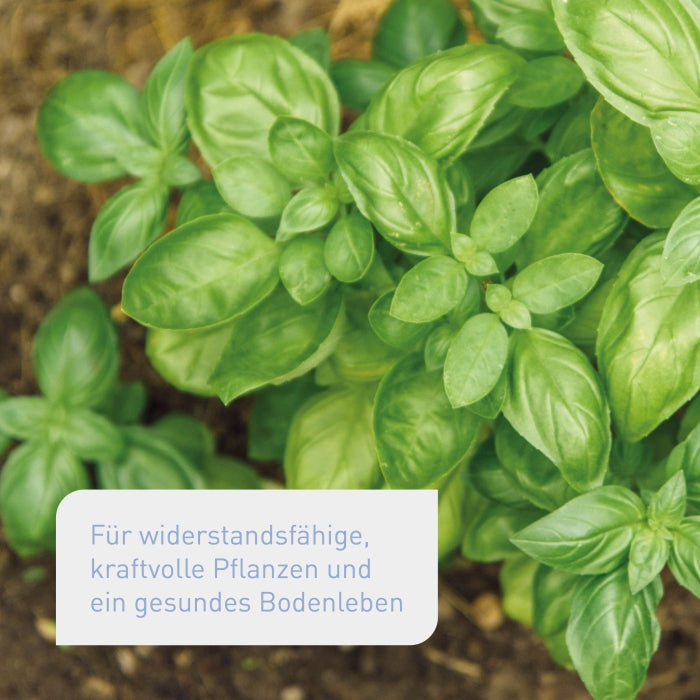 plantura-bio-universald-nger-1-5-kg-organischer-npk-d-nger-6-3-4 image 2