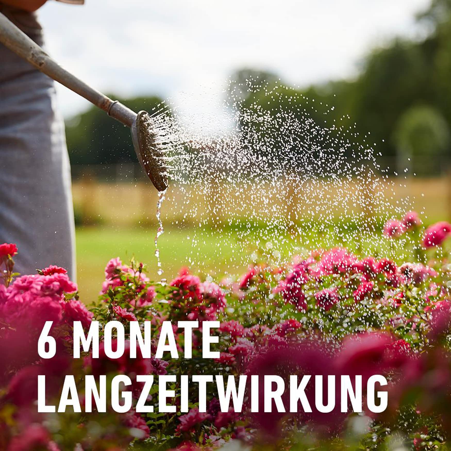 compo-rosen-langzeit-d-nger-850-g-6-monate-wirkung-f-r-11-m image 5