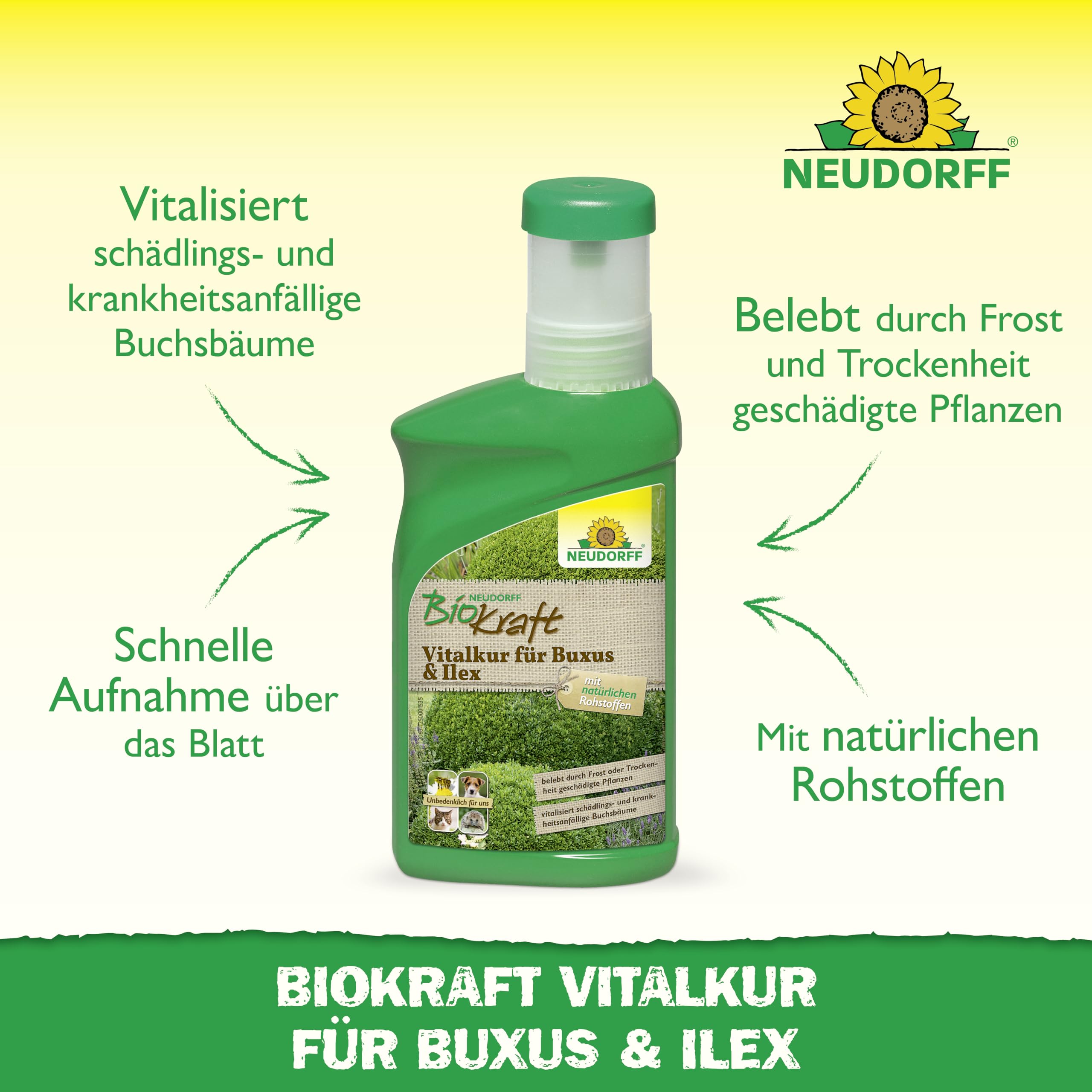neudorff-biokraft-vitalkur-f-r-buxus-ilex-konzentrat-300-ml image 2