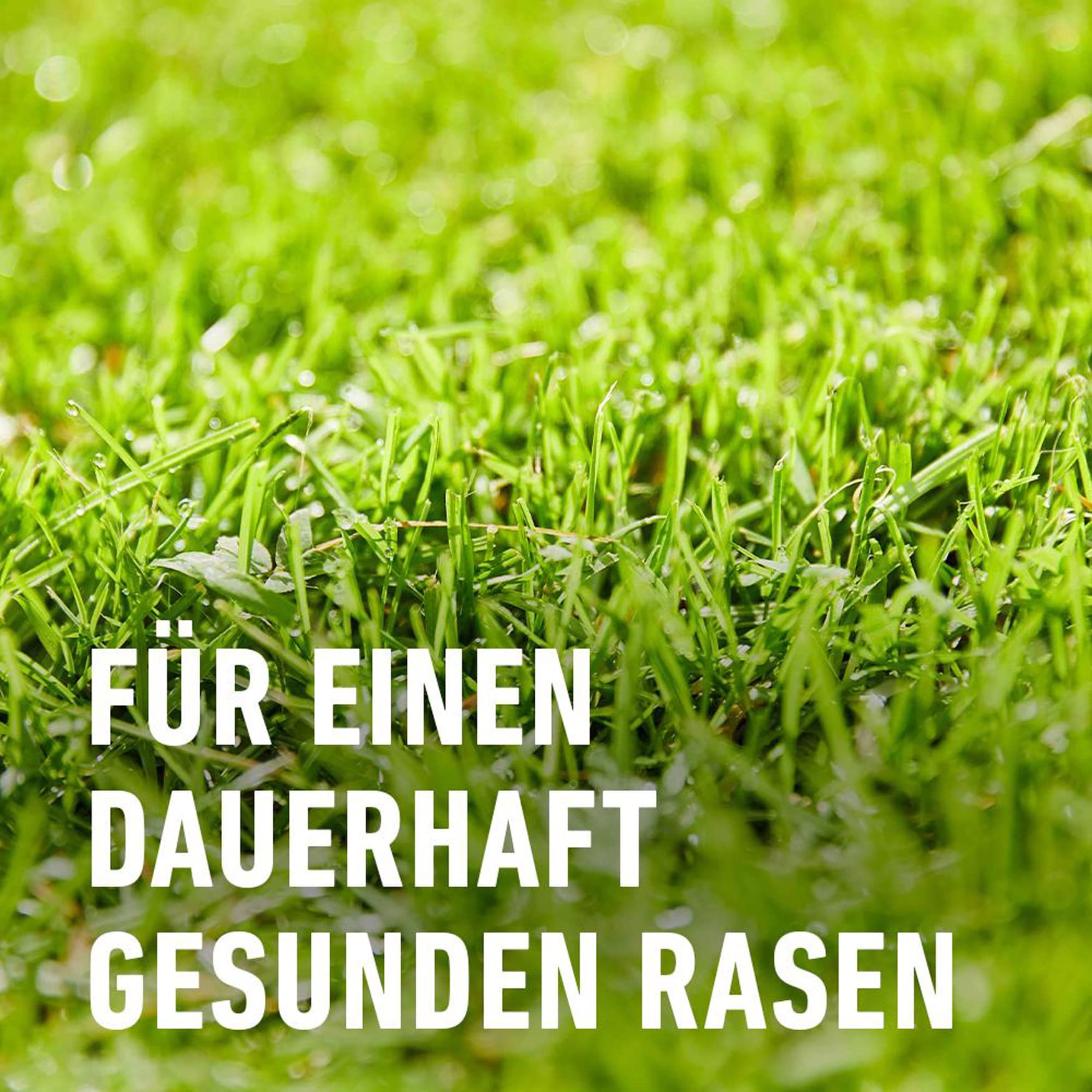 compo-rasend-nger-gegen-unkraut-moos-komplett-pflege-9-kg-f-r-300-m image 5