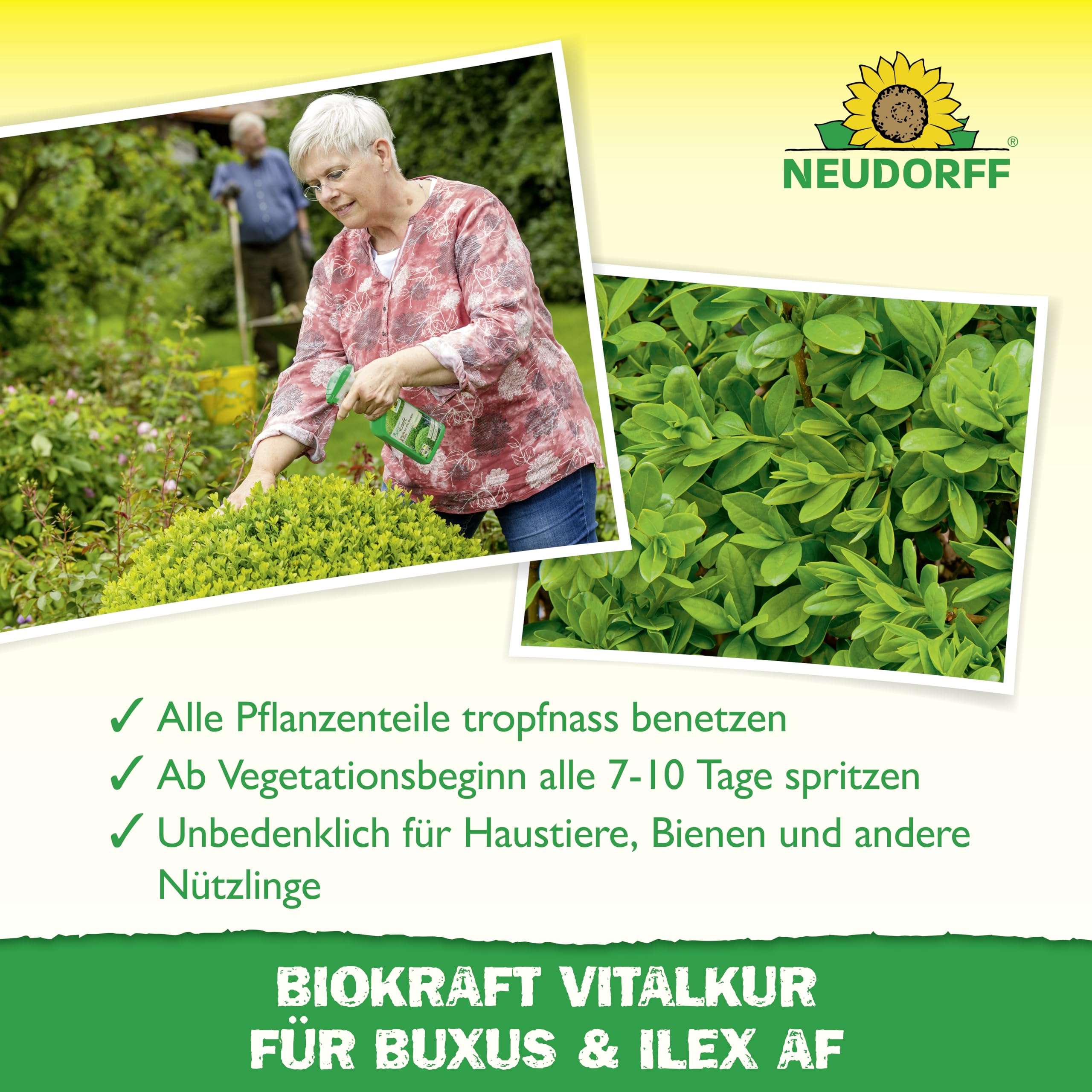 neudorff-biokraft-vitalkur-f-r-buxus-ilex-af-spray-500-ml image 4