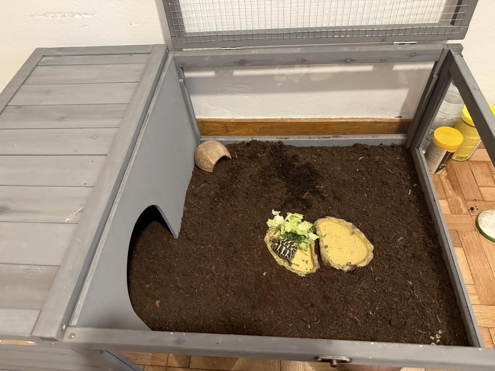 Unsere Schildkröte liebt es