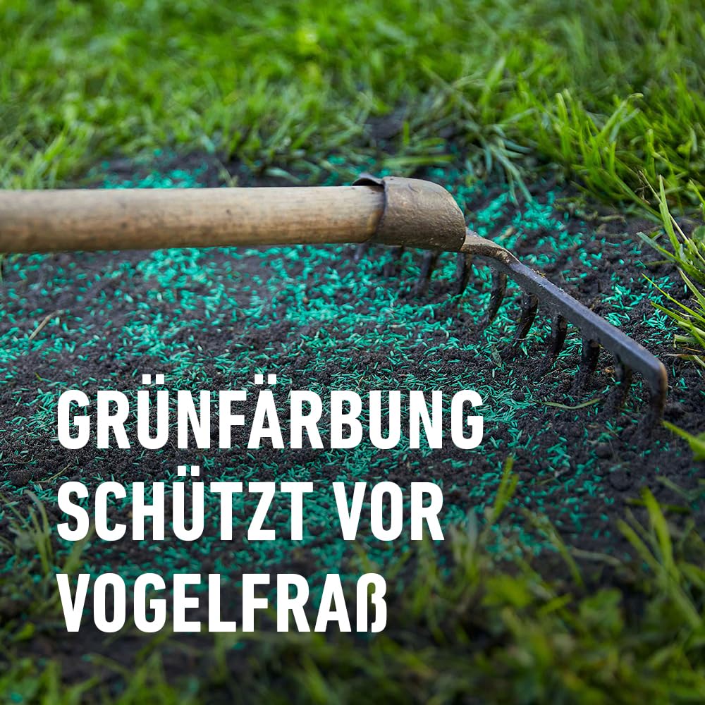 compo-saat-schatten-rasen-2-kg-f-r-100-m-mantelsaat-f-r-schattige-lagen image 5