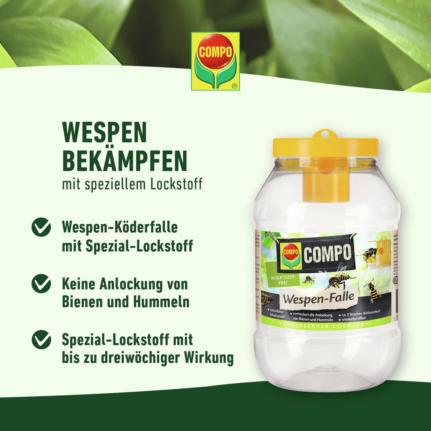 compo-wespen-falle-wiederbef-llbar-1-st-ck-22434 image 2