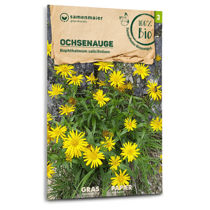 plantura-bio-ochsenauge-wildblume-bio-saatgut image 1