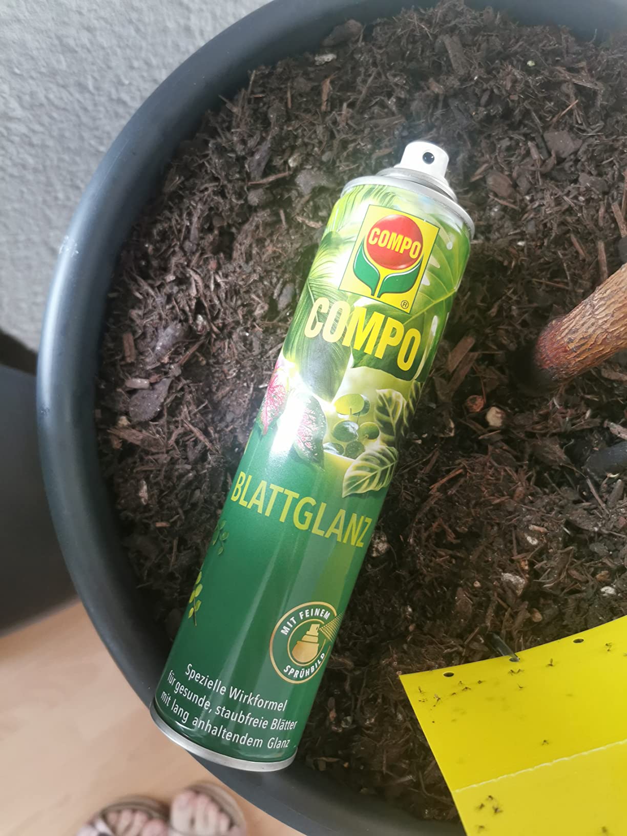 Schön, aber staubt trotzdem