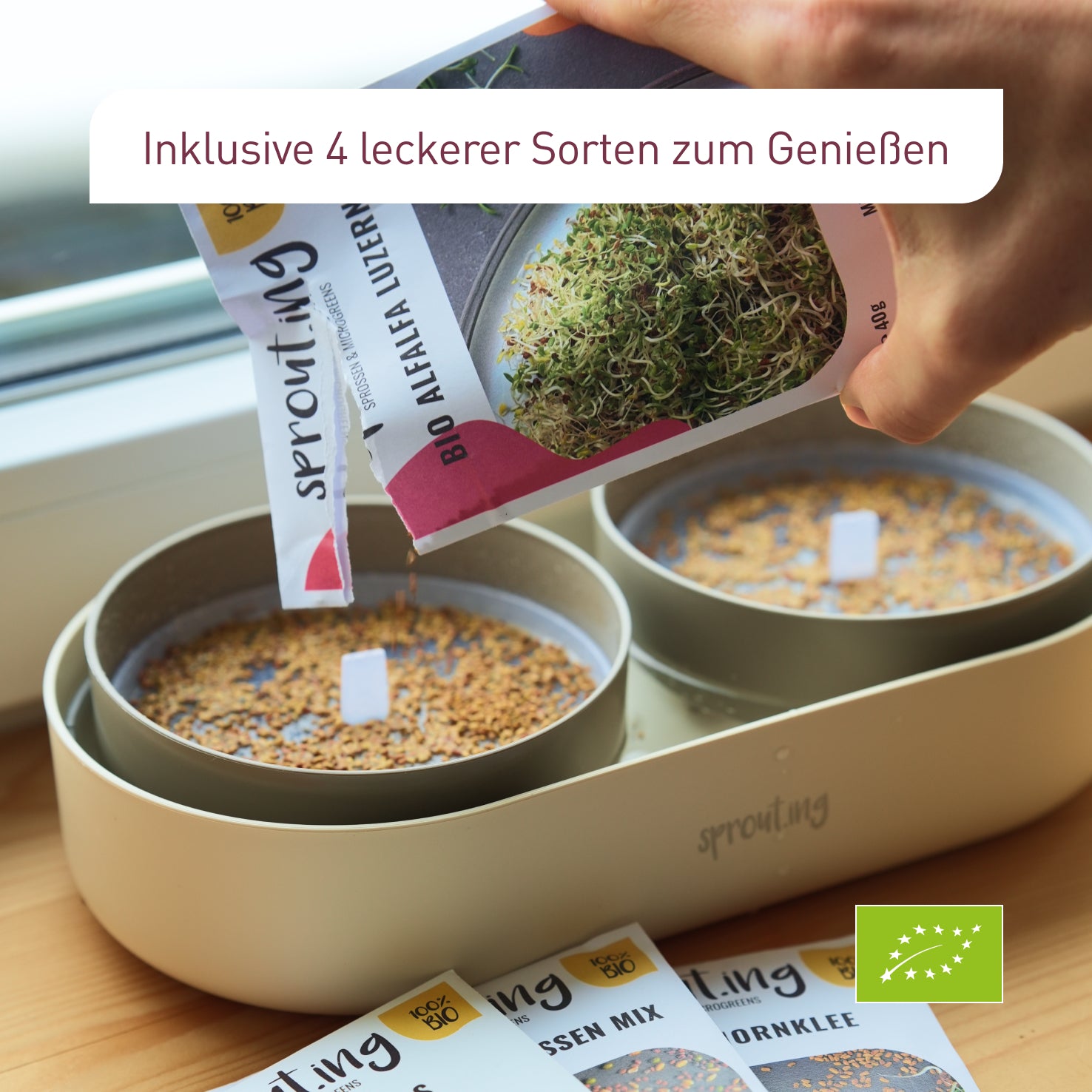 plantura-bio-sprossen-anzucht-set-komplett-keimschale-mit-bio-saatgut image 4