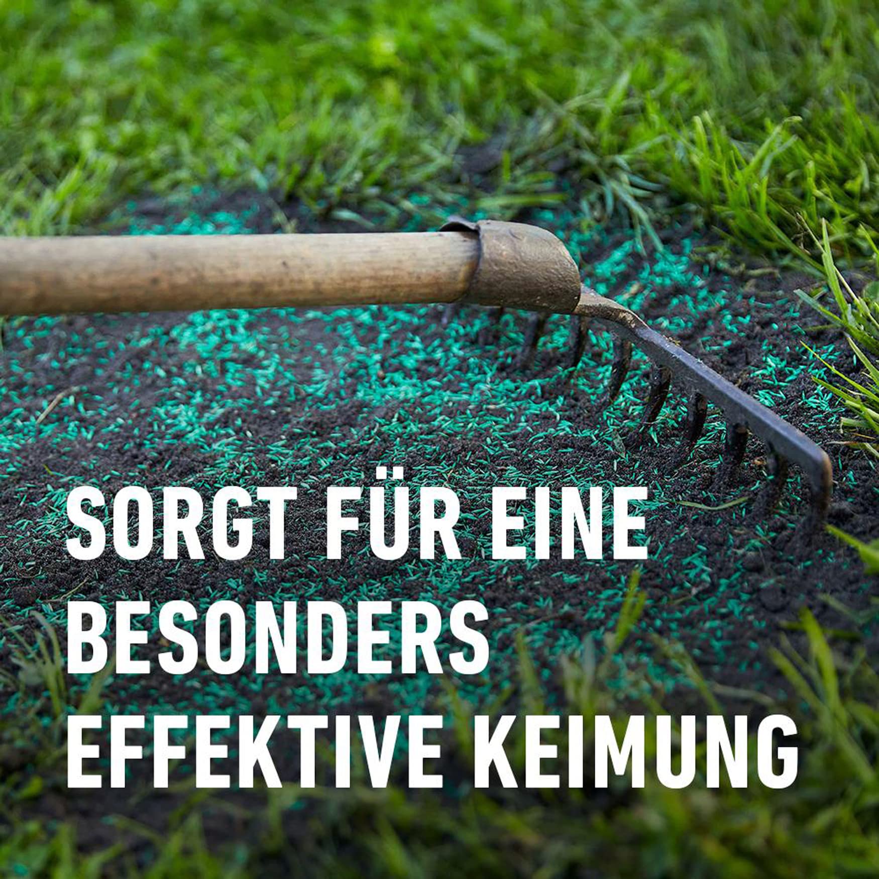 compo-saat-rasen-reparatur-mit-d-nger-1-2-kg-f-r-50-m image 5