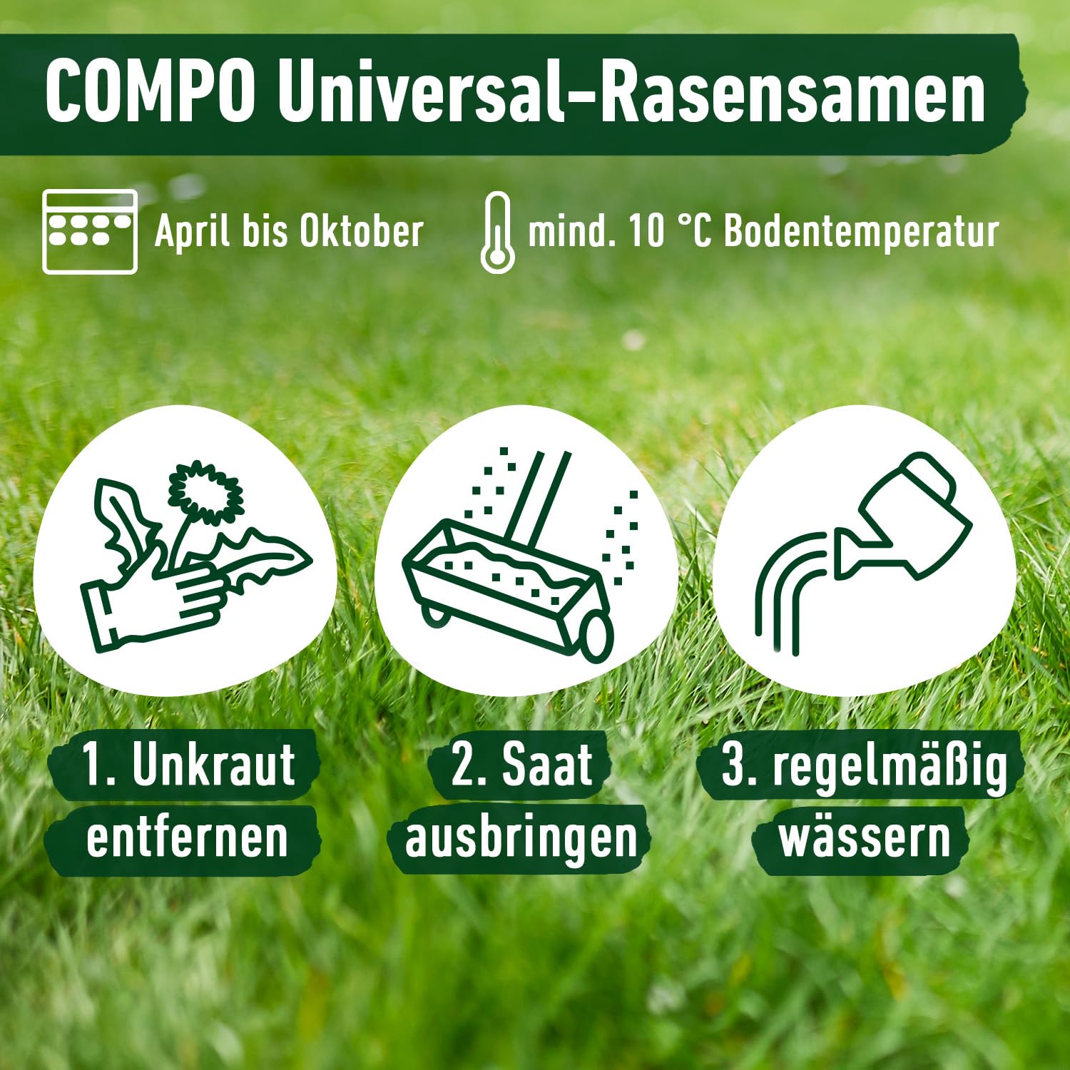 compo-universal-rasensamen-schnellkeimend-5-kg-f-r-250-m-spiel-und-sportrasen image 5