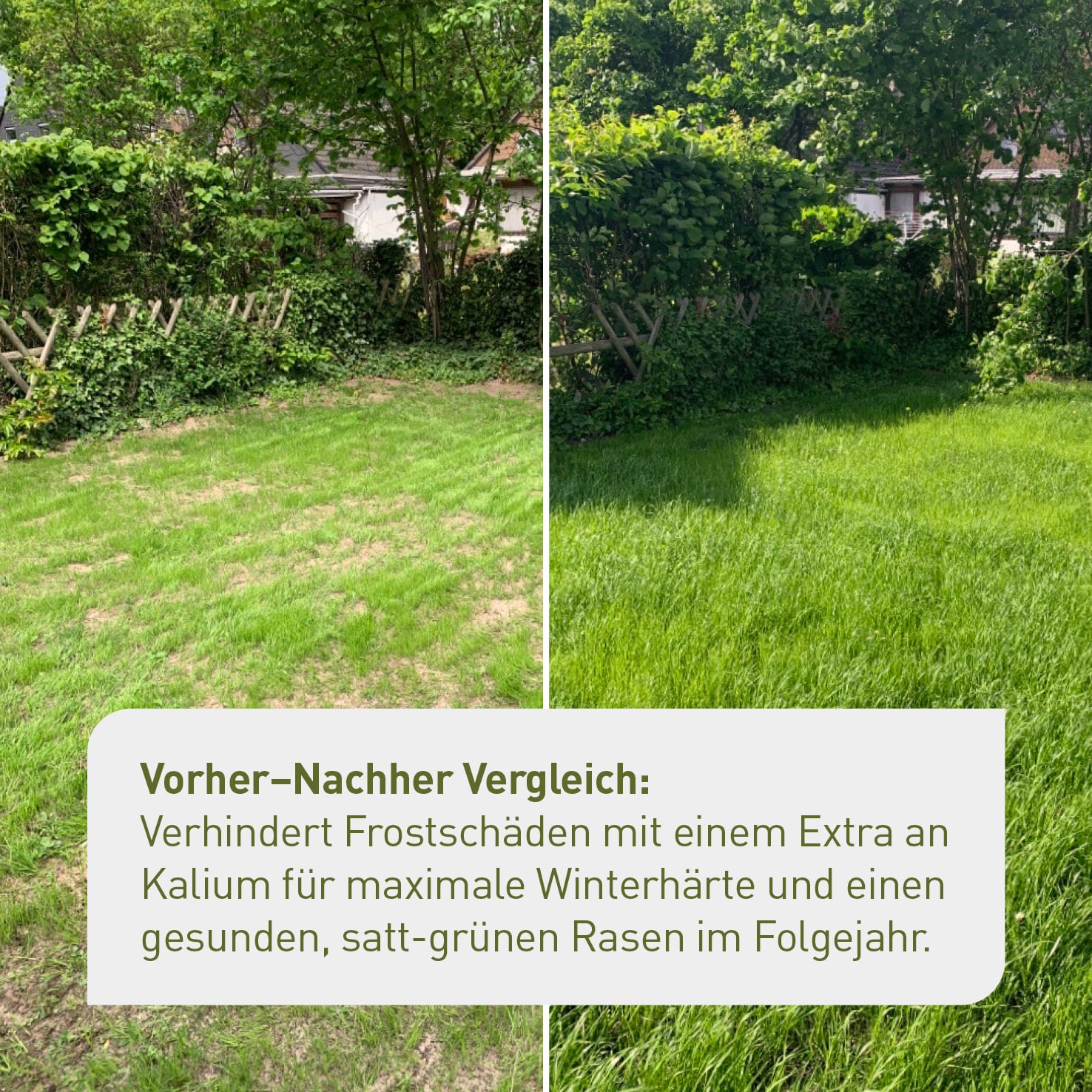 plantura-bio-herbstrasend-nger-10-5-kg-sack image 3